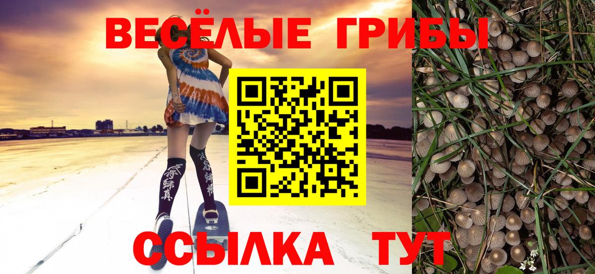 Орск  Галлюциногенные грибы Psilocybine cubensis  Псилоцибиновые грибы мухоморы  Вход с VPN 